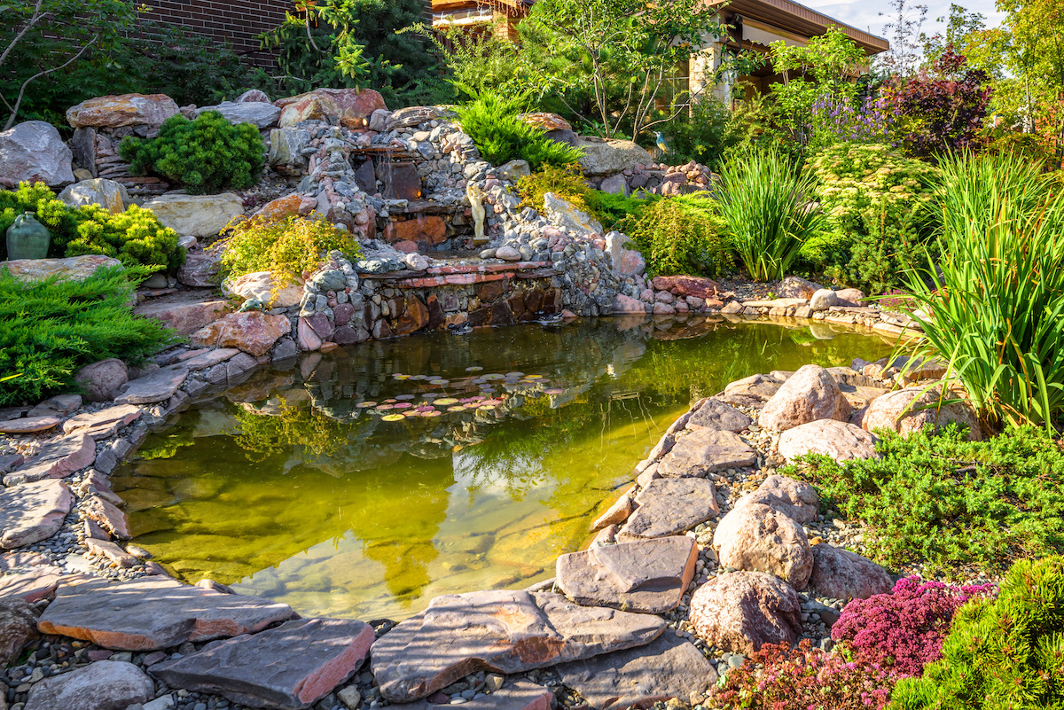 pond pump